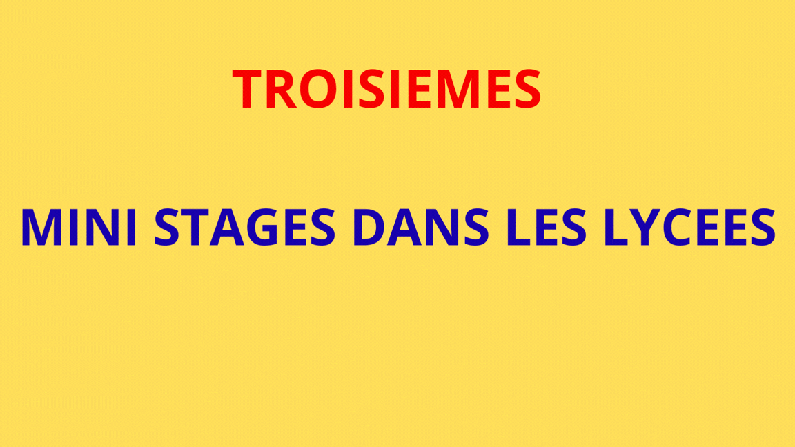 ORIENTATION 3EMES (2).gif